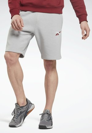 TRAINING ESSENTIALS FRENCH TERRY - Pantaloncini sportivi - grey