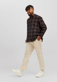 Jack & Jones JJEGINGHAM SHIRT - Camisa - seal brown