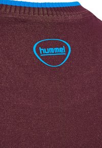 Close-up van kastanjebruine stof met fijne gouden draden en blauw "hummel" logo onder de blauwe geribde kraag.