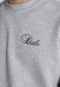 Gaiši pelēks džemperis, izgatavots no mīkstas auduma, ar apaļu kaklu un tumši zilā krāsā izšūtu logotipu priekšpusē.