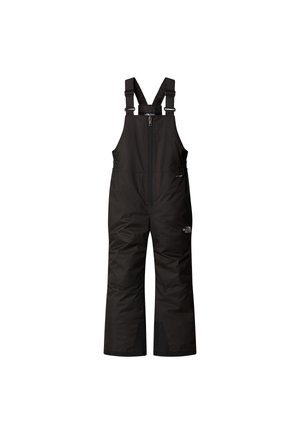 The North Face FREEDOM - Pantalon de ski - tnf black
