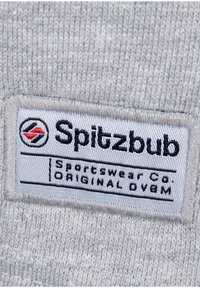 Grau gestickter Stoffpatch mit weißer Naht zeigt "Spitzbub Sportswear Co. ORIGINAL DV8M" mit roten und schwarzen Logoakzenten.