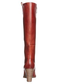 Botte montante en cuir marron avec un talon fin et un design courbé. Dispose d'une fermeture éclair latérale et d'un accent de talon en bois texturé.