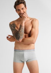 Grå bomullsboxer med en tettsittende design og elastisk livlinje med "TOMMY HILFIGER" logo i hvitt og rødt. Glatt tekstur.