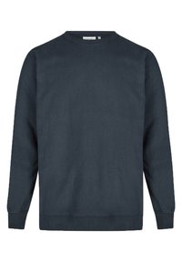 Unselected, sky captain