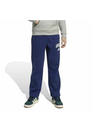 Person, der navyblaue Adidas-Sweatpants mit weißem Logo am Oberschenkel, ein graues Sweatshirt und grün-weiße Turnschuhe trägt und steht.