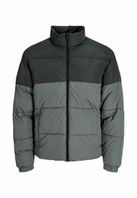 Herrens dunjacka med hög krage, hel dragkedja framtill, elastiska ärmslut och tvåfärgad design i mörk och ljusgrå.