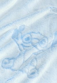 Pătură de fleece de culoare bleu deschis, cu o textură moale, având modele florale subtile, estompate pe întreaga suprafață. Materialul pare confortabil și pufos.