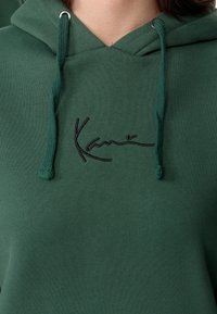 Sudadera verde fabricada con un material suave, con capucha ajustable y un logotipo bordado en negro en el pecho. Presenta una textura lisa y un diseño informal.