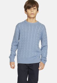 Light blue knitted sweater with a textured cable pattern, round neckline, and ribbed cuffs and hem. Worn with dark pants.