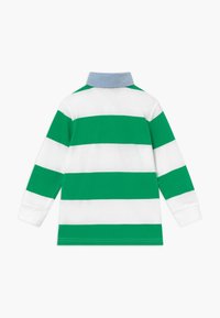 Langärmliges Rugby-Shirt mit breiten grünen und weißen horizontalen Streifen sowie einem hellblauen Kragen, von hinten auf einem weißen Hintergrund gezeigt.
