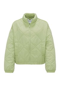 OPUS HUSOKA - Winterjacke - avocado
