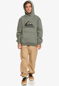 Quiksilver BIG LOGO YOUTH - Hoodie - laurel wreath