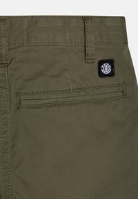 Element HOWLAND CLASSIC   - Shorts - beetle