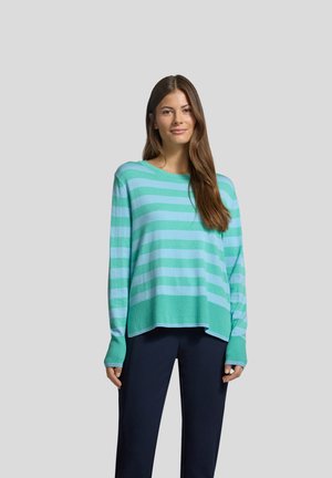 Hellblauer und grüner gestreifter Pullover mit langen Ärmeln, Rundhalsausschnitt und einem leicht verkürzten Saum, hergestellt aus einem weichen Strickmaterial.