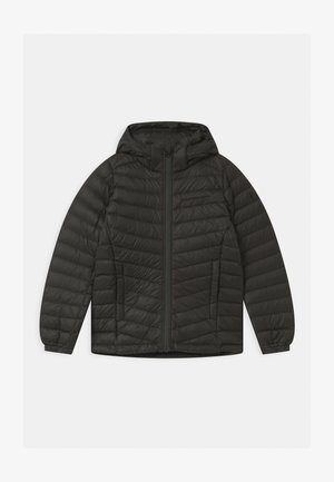FROST HOOD UNISEX - Bunda z prachového peří - coniferous green