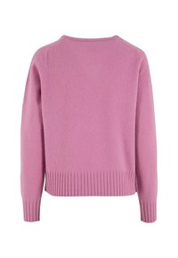 Wollpullover in Hellrosa, mit geripptem Saum, langen Ärmeln, rundem Ausschnitt und weicher Textur. Rückansicht dargestellt.