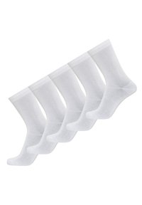 Resteröds 5 PACK - Strømper - white