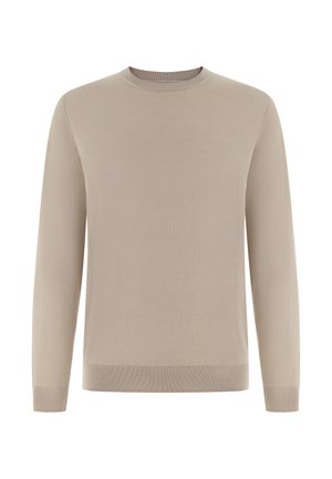Pull beige à manches longues en tissu doux et fin tricoté. Il présente un col rond et des poignets et ourlet côtelés pour une coupe ajustée.