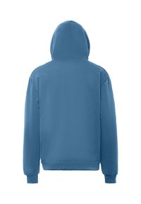 Felpa con cappuccio di colore azzurro chiaro, realizzata in tessuto morbido, con vestibilità rilassata, polsini a coste e design della schiena semplice.