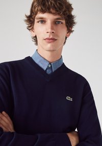 Navy V-Ausschnitt-Pullover aus Strickstoff mit einem grünen Logo auf der Brust, über einem hellblauen Hemd mit Knöpfen getragen.