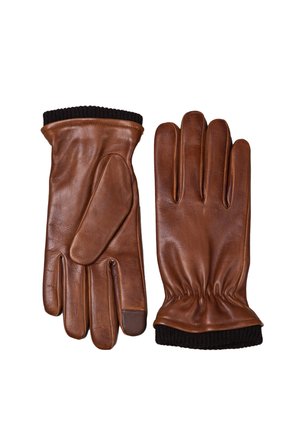 DAVID - Gloves - chestnut