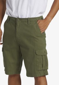 Quiksilver CRUCIAL BATTLE WALK - Šortky - gph0