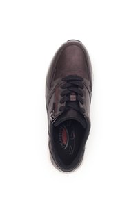 Rollingsoft ROLLINGSOFT - Trainers - burgund schwarz