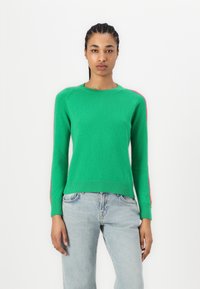 FROM FUTURE BANDE MULTICOLORE AUX MANCHES - Strikkegenser - tropical green