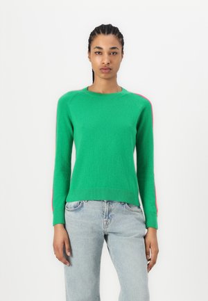 BANDE MULTICOLORE AUX MANCHES - Strickpullover - tropical green