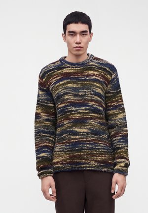 Young man with short black hair wearing a multicolored striped fuzzy sweater and dark pants, standing against a plain light background.