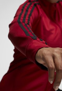 Rote Sportjacke mit schwarzen Seitenstreifen, glatte Textur, hoher Kragen und angepasste Ärmel, die eine vorwärtsreichende Hand zeigt.