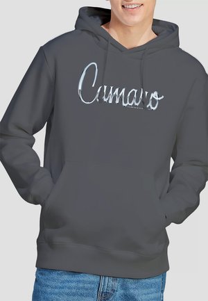 Grey hoodie made of soft fabric, featuring a central graphic text in metallic silver. Classic fit with a front pocket and drawstring hood.