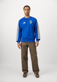 Blå hettegenser med lange ermer, Adidas-logo og Italias emblem. Brune bukser og brune sneakers med hvite striper. Enkelt bakgrunn.