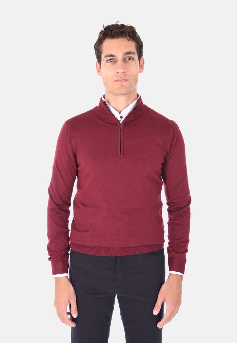 Maglione bordeaux con zip sul collo, maniche lunghe, polsini e orlo a coste, realizzato in materiale morbido, indossato sopra una camicia bianca con colletto, design aderente.