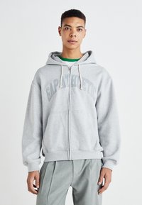 GAP Kapuzenpullover - grey heather