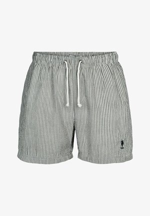 U.S. Polo Assn. UMBRIGGS - Pantaloni scurți - forest night