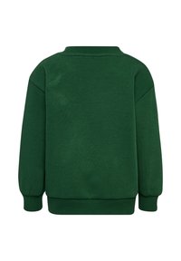 Grön sweatshirt med långa ärmar, ribbad halsringning och en slät textur. Designen är enkel utan synliga mönster eller detaljer.