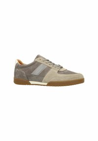 Gray and beige suede sneakers with a rubber sole, featuring a smooth gray stripe design and light accents on the heel and tongue.
