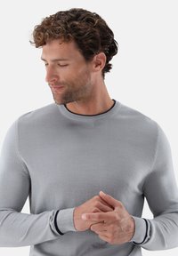 Hellgrauer Pullover mit rundem Ausschnitt, strukturiertem Stoff und dunkelblauen Akzenten an den Bündchen. Das Modell blickt leicht nach unten.