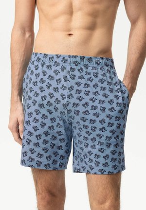 Männlicher Oberkörper, der hellblaue Boxershorts mit wiederholten schwarzen Fahrradmustern trägt, Hand in der Hosentasche, vor weißem Hintergrund.