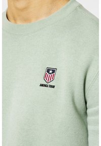 Felpa verde chiaro con collo rotondo, morbida al tatto, e un piccolo scudo ricamato con accenti rossi e blu, che riporta "AMERICA TODAY."