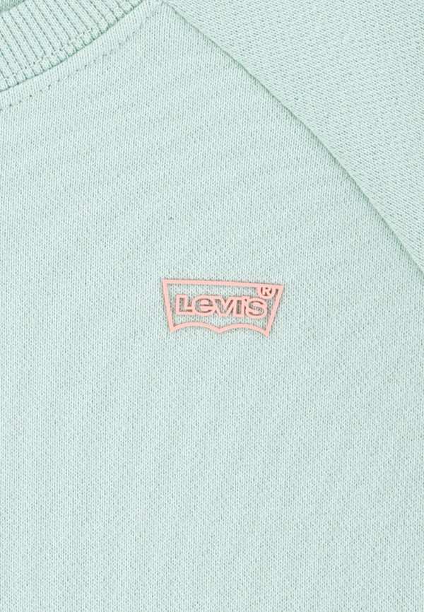 BATWING - Sweatshirt - celadon3