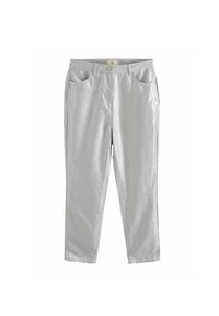 RAIGHT LEG REGULAR FIT - Tygbyxor - silver