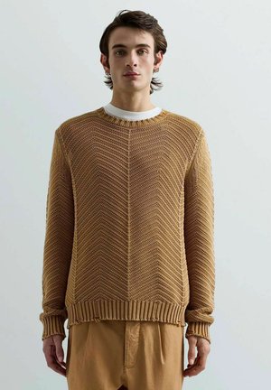 Giovane uomo con capelli scuri che indossa un maglione marrone lavorato a maglia sopra una camicia bianca e pantaloni larghi color sabbia, in piedi davanti a uno sfondo semplice.