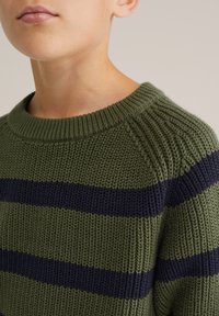 Zaļš adīts džemperis ar tumši zilu svītru, ar ribota kakla izgriezumu un teksturētu audumu, izceļot gludu un masīvu adījuma rakstu.