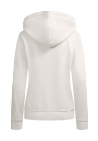 Plain white hooded sweatshirt shown from the back with long sleeves and ribbed cuffs and hem.