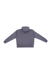 Grauer Kapuzenpullover mit geripptem Saum und Bündchen. Bietet eine klassische Silhouette und eine glatte, weiche Stofftextur. Keine bedruckten Designs.
