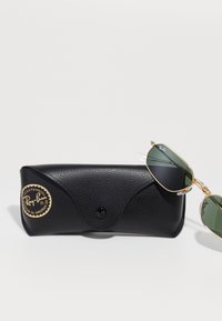 Funda de gafas de sol de cuero texturizado negro con logo dorado. Gafas de sol con detalles dorados y lentes verdes mostradas al lado de la funda.