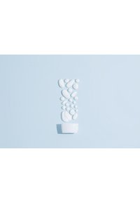 Thumbnail-Bild 12